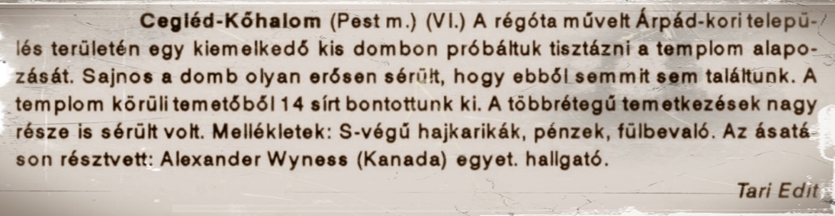 1990_1.jpg