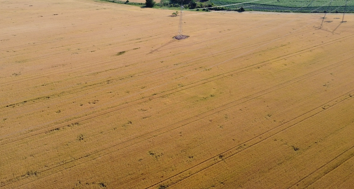dji_0021_1.JPG