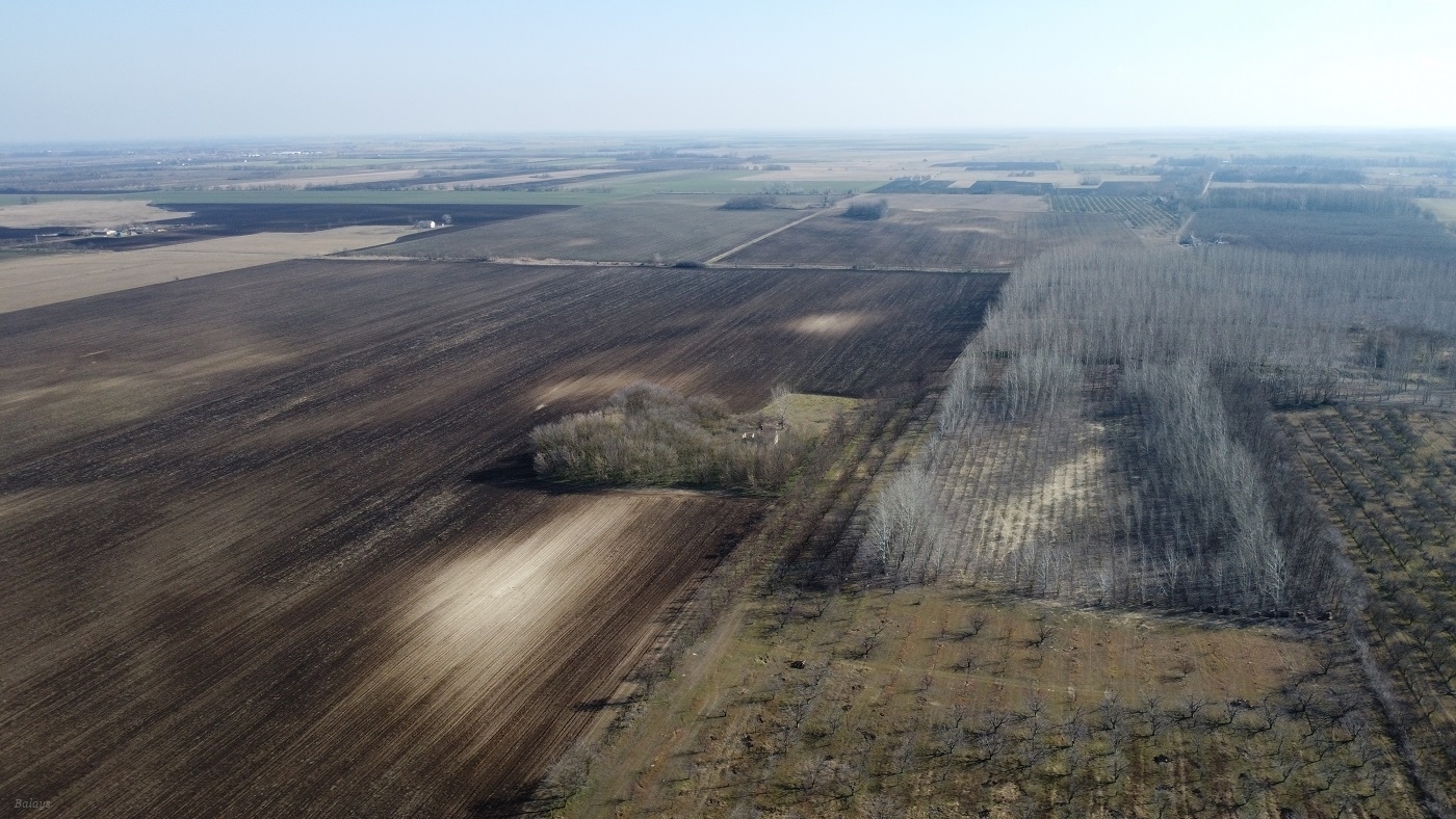 dji_0037_1.JPG