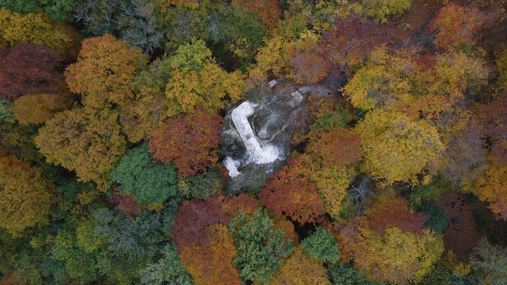 dji_0217.jpg