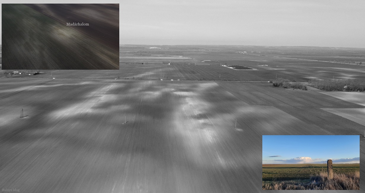 dji_0233bcd.jpg