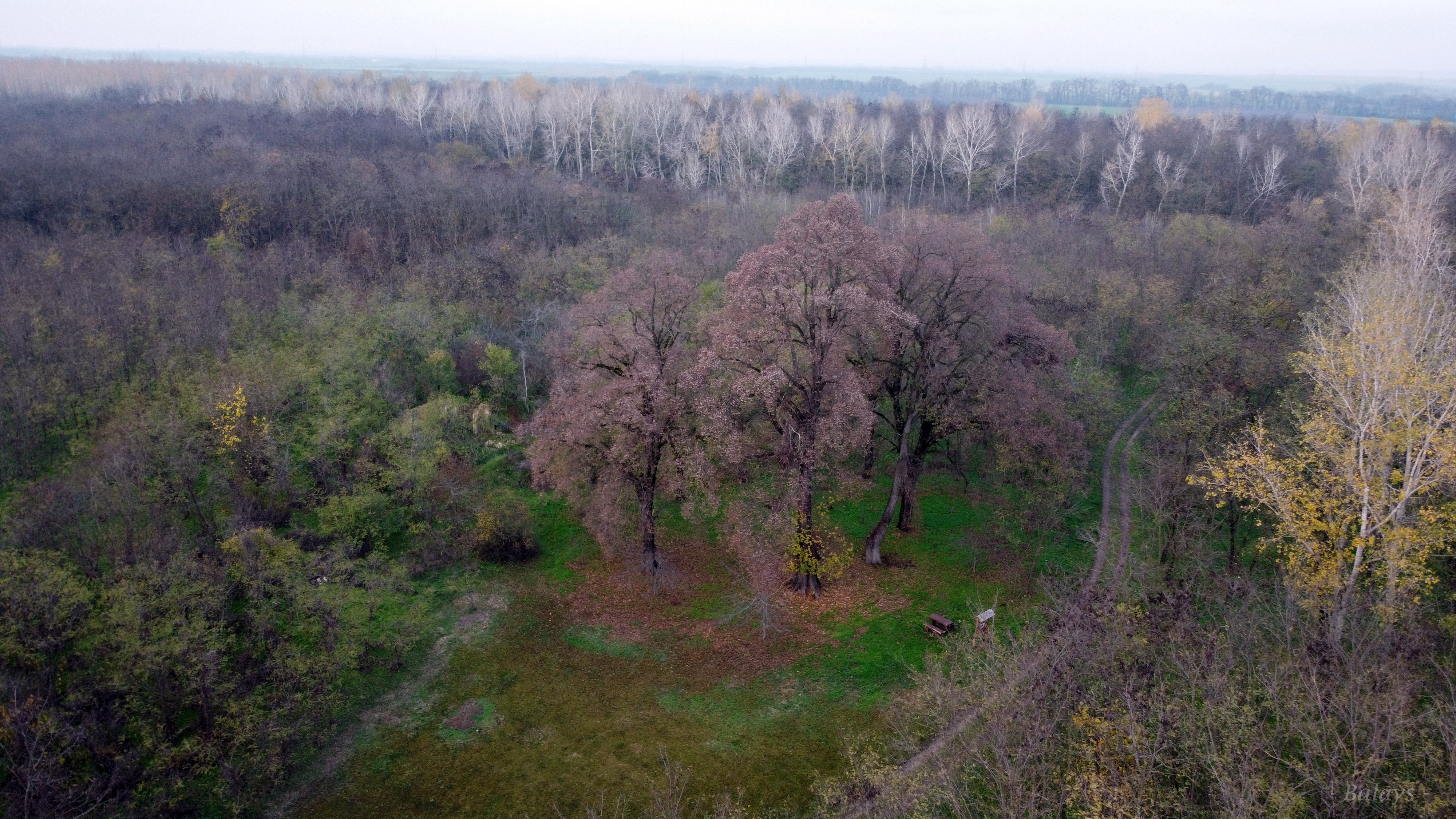 dji_0297.JPG