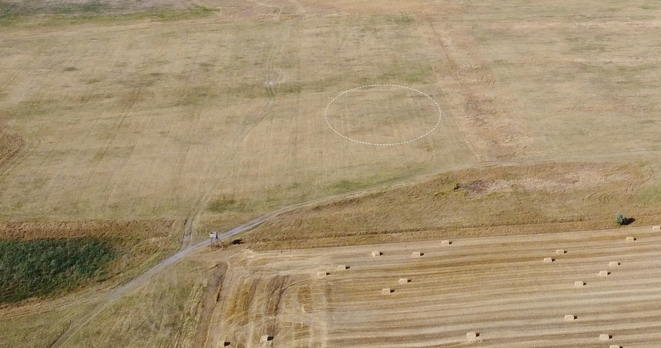 dji_0310_1.JPG