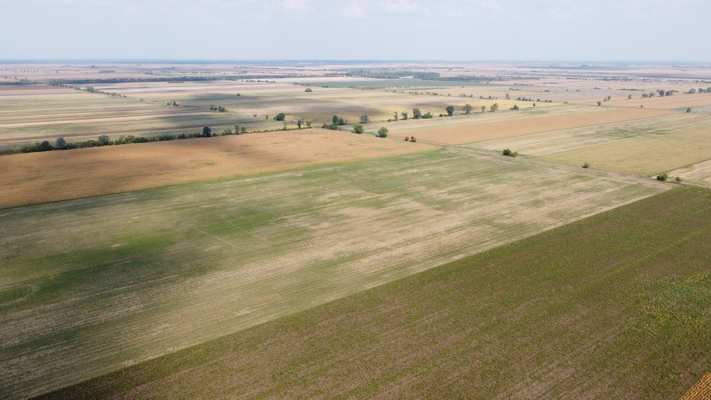 dji_0335_2.JPG