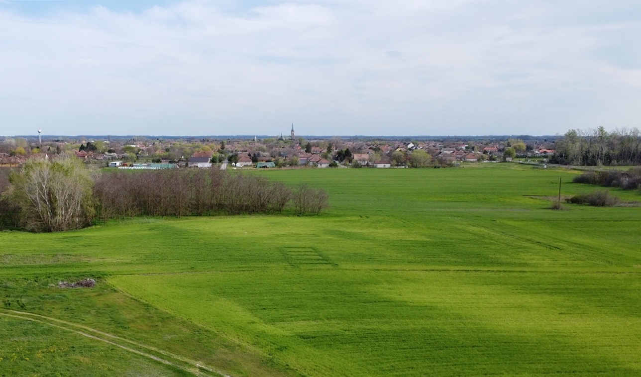 dji_0355_1.JPG