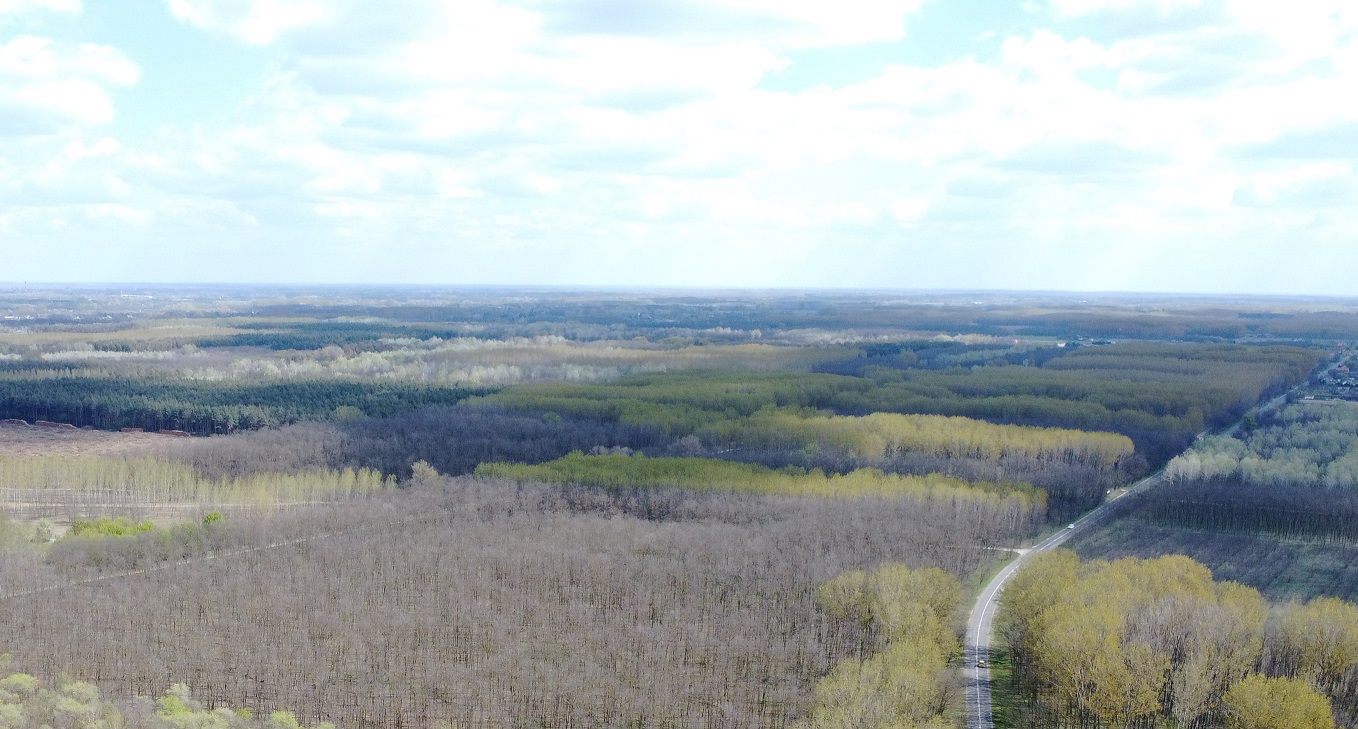 dji_0369_1.JPG