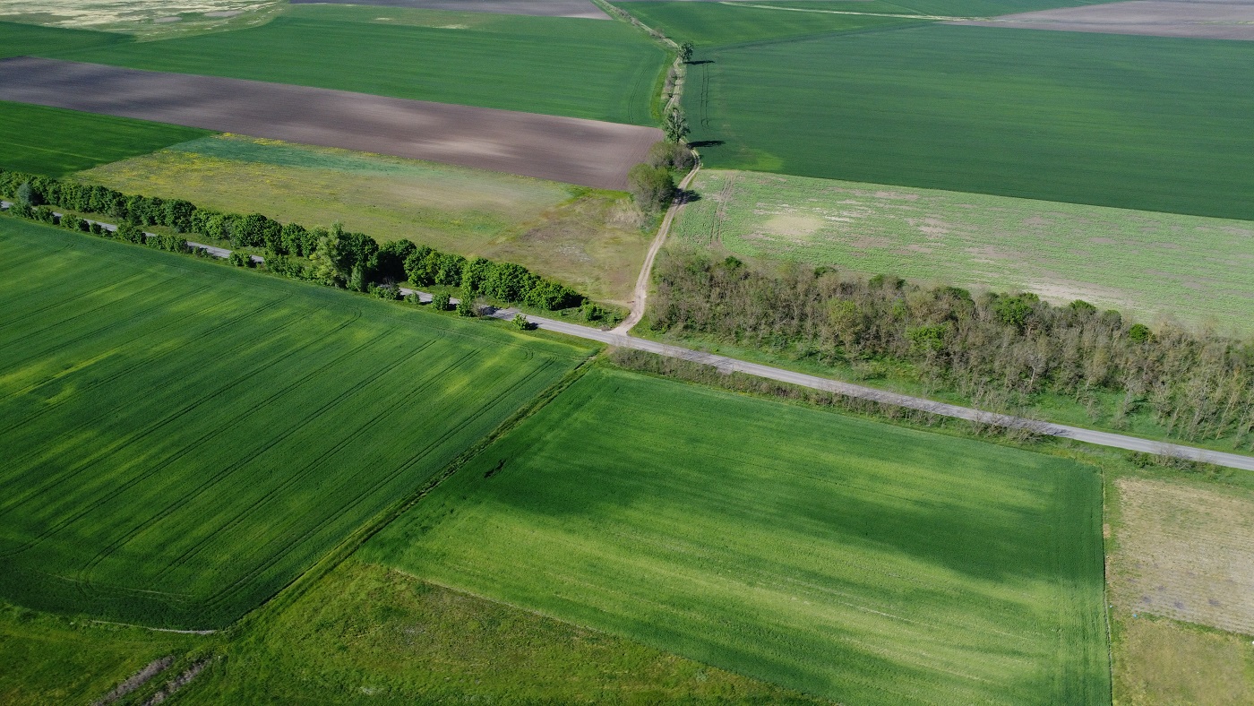 dji_0478_1.JPG