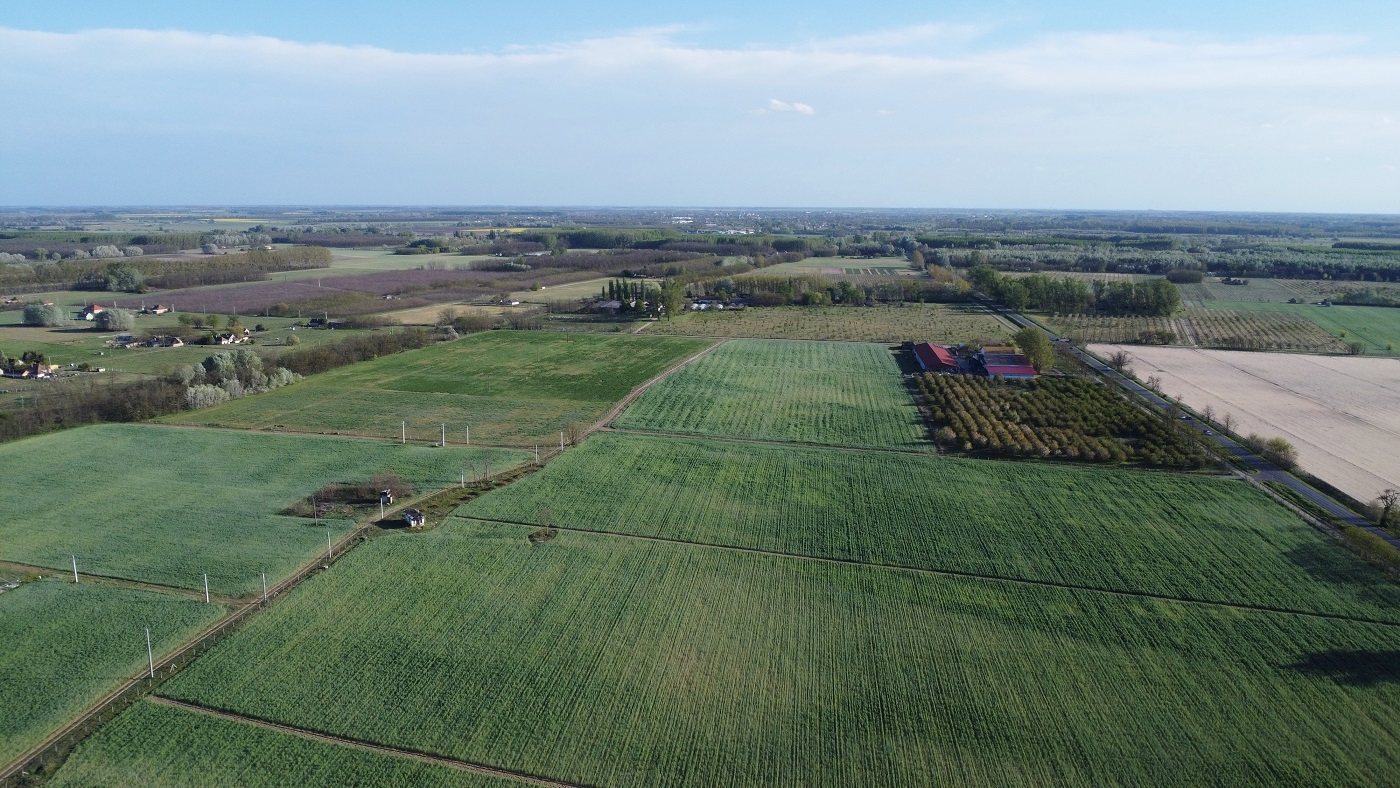dji_0494_5.JPG