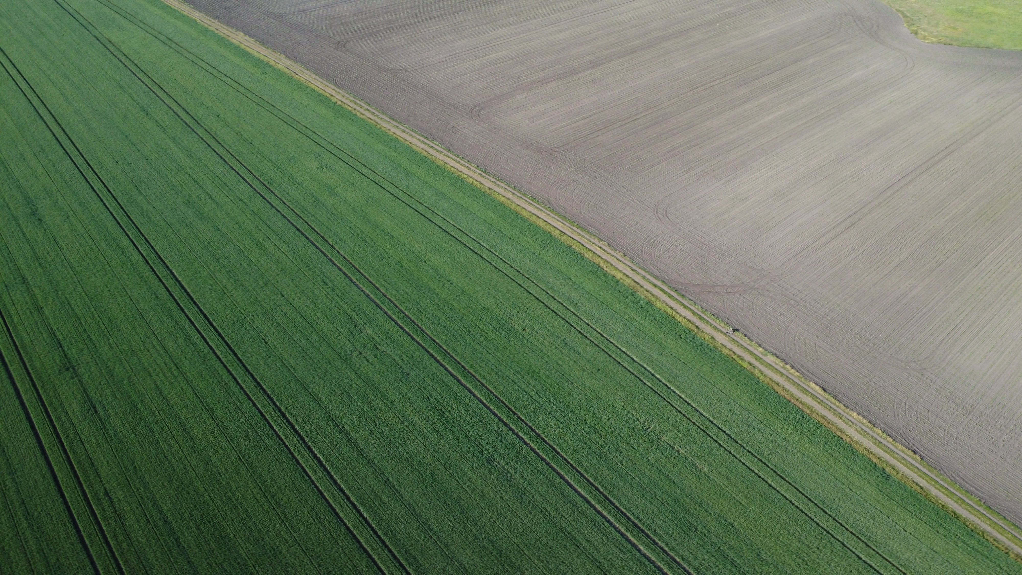 dji_0686_2.JPG