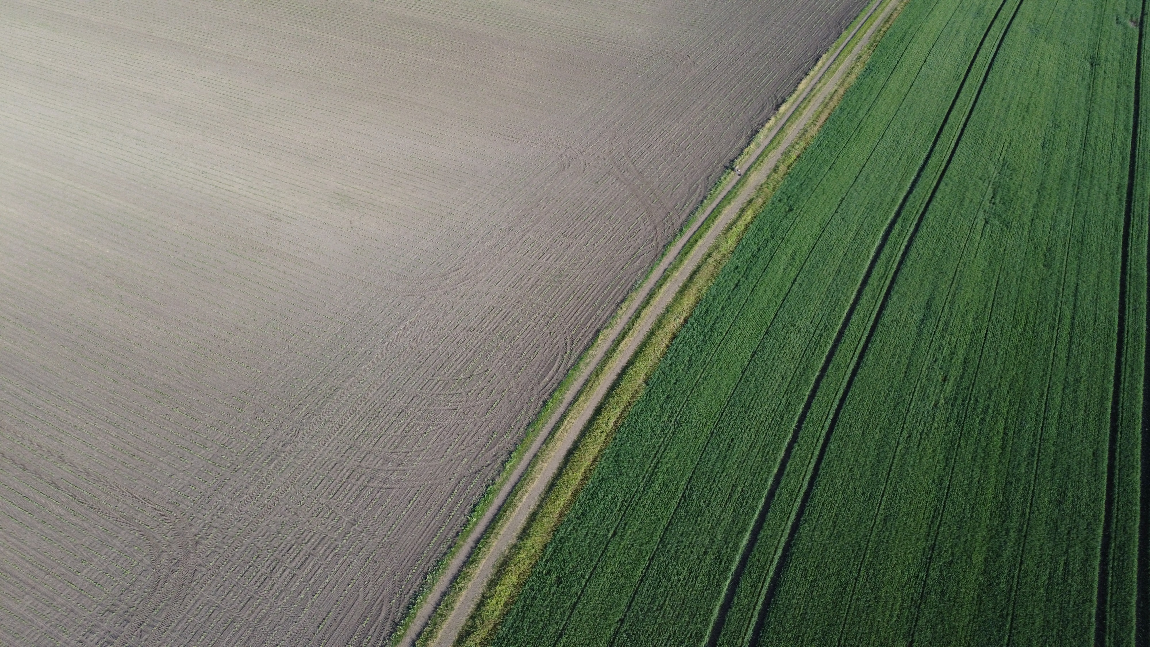 dji_0692.JPG