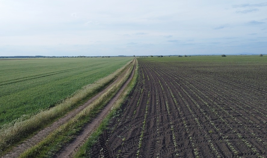 dji_0694b.JPG