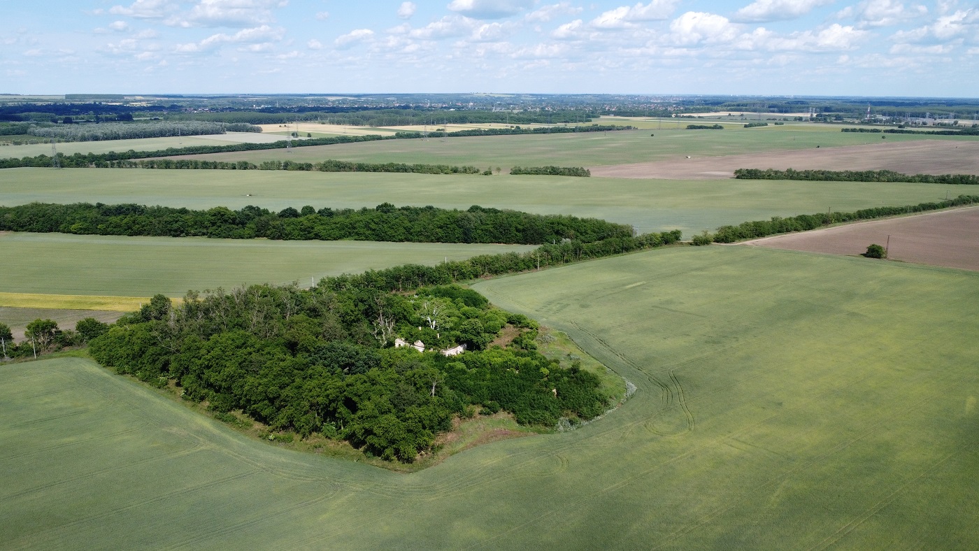 dji_0893_4.JPG