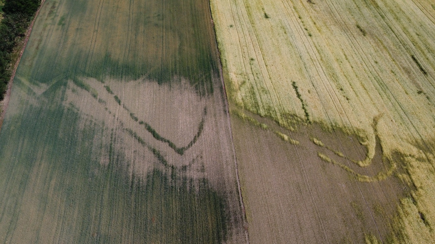 dji_0902_1.JPG