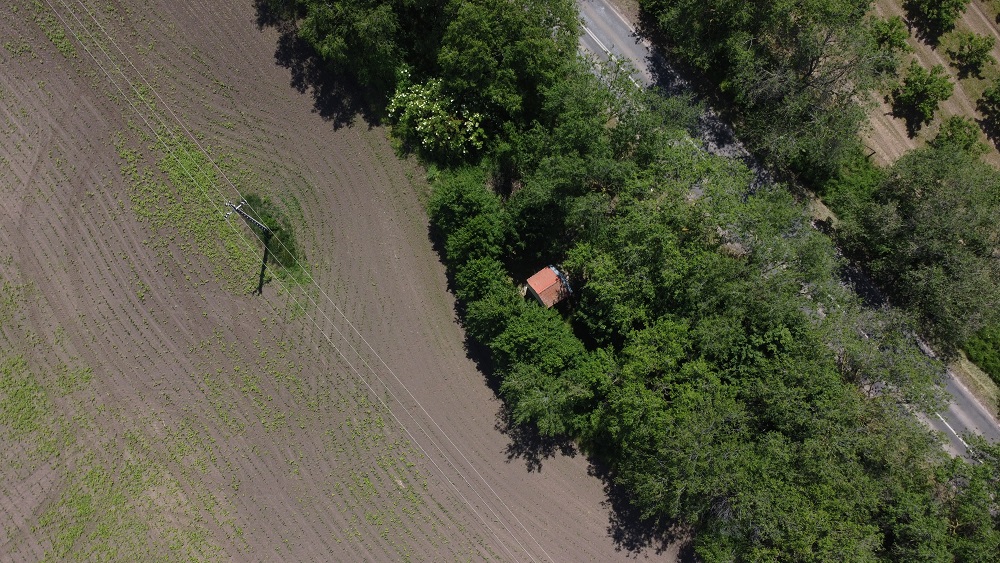 dji_0950.JPG