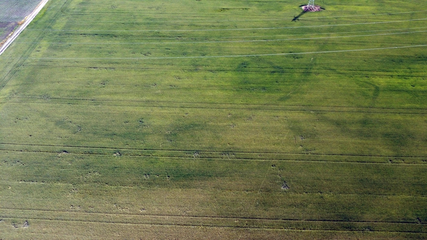 dji_0955_1.JPG