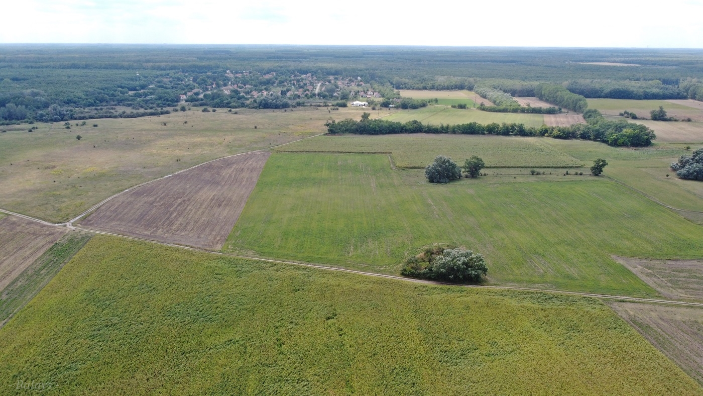 dji_0957_3.JPG