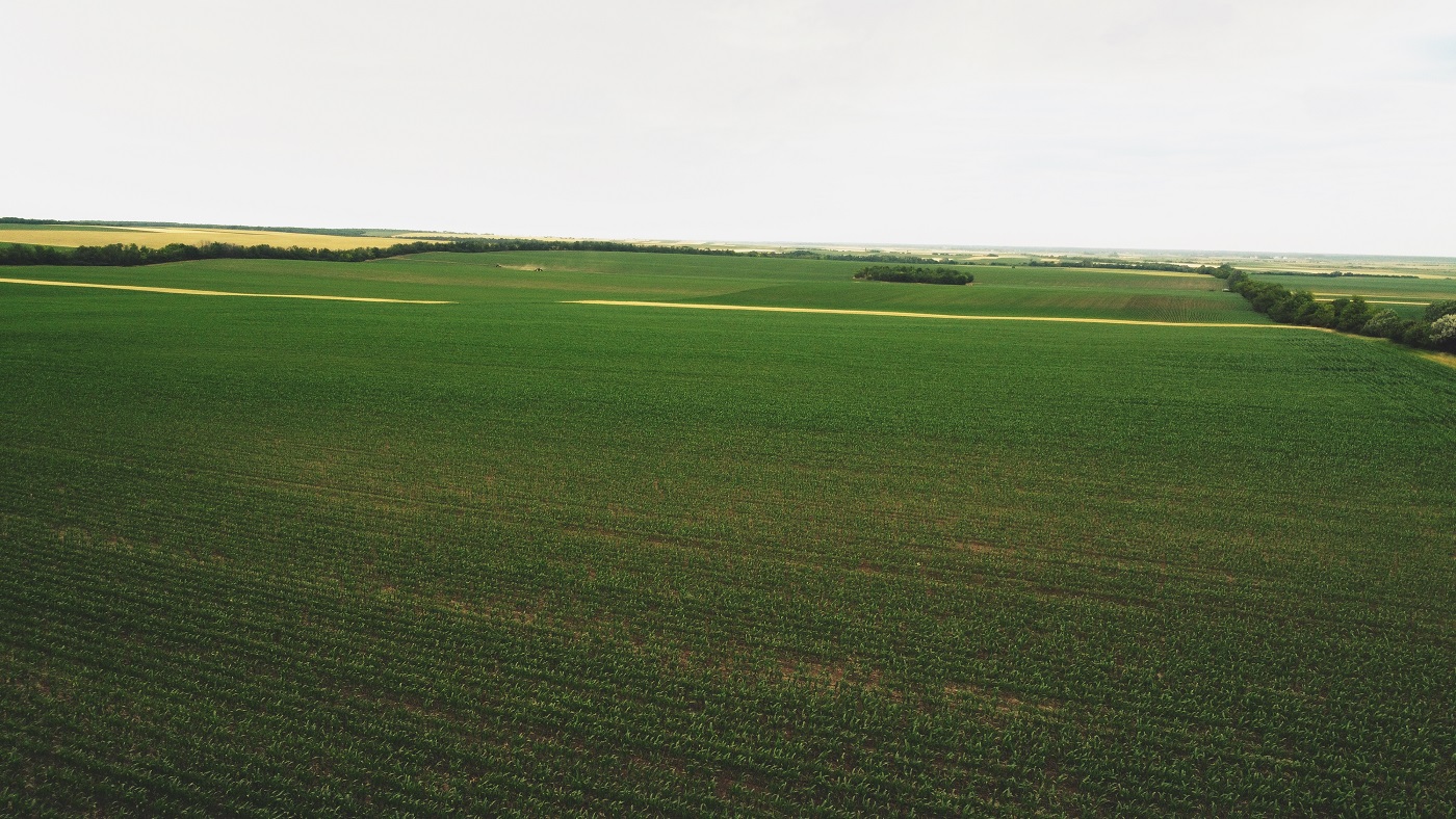 dji_0997.JPG