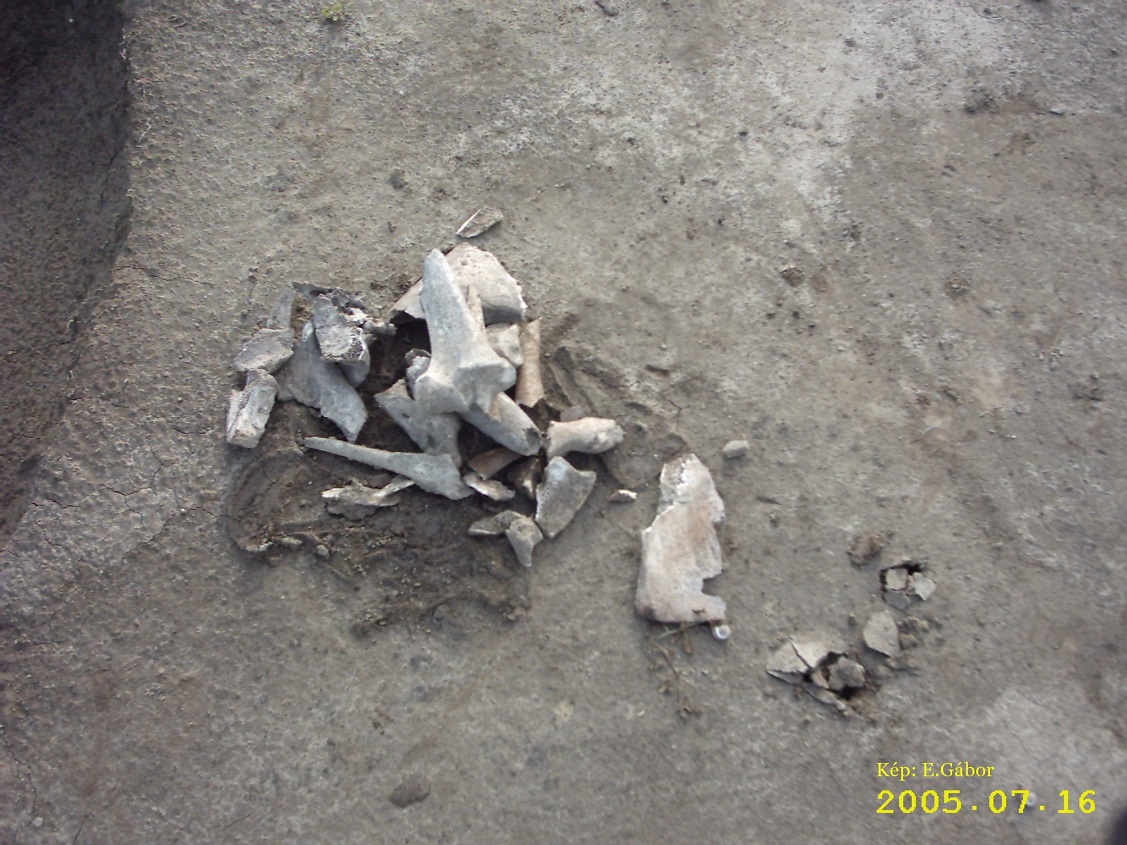 image0046_jpg.JPG