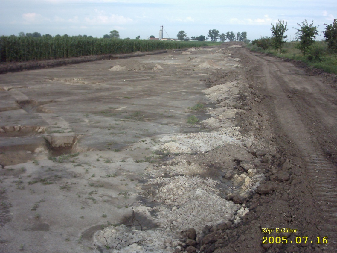 image0053_jpg.JPG