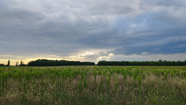 img_20230728_191308.jpg