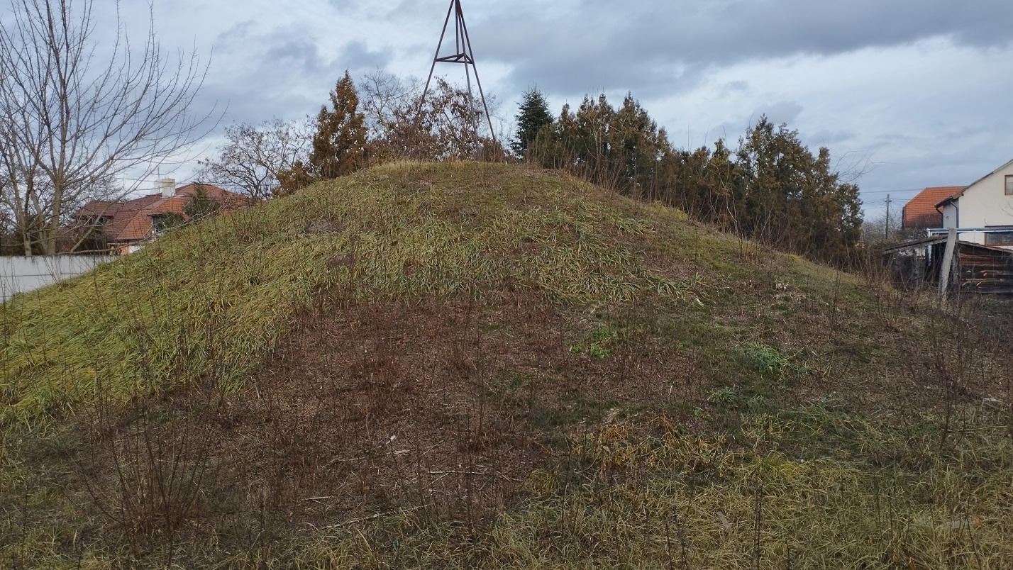 img_20250108_131930.jpg