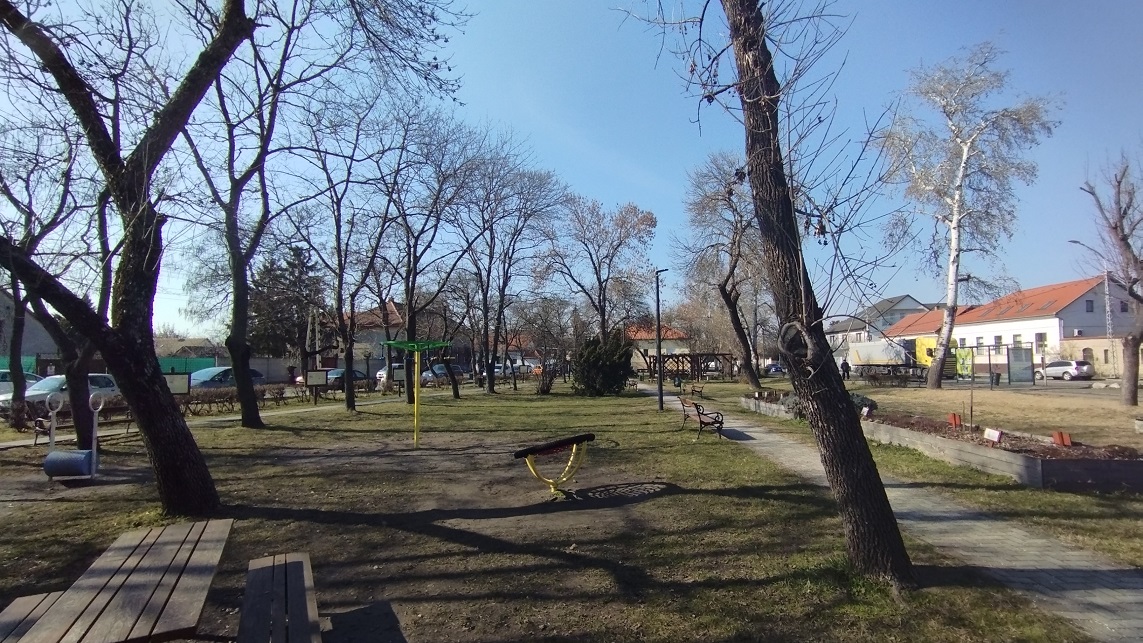 img_20250221_124800.jpg