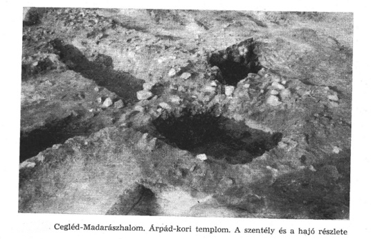 templike89.jpg