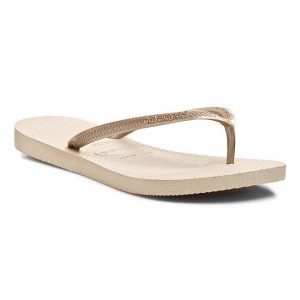 815417_havaianas-h4000030-2719_grey_light_g_rl_01_kopia.jpg