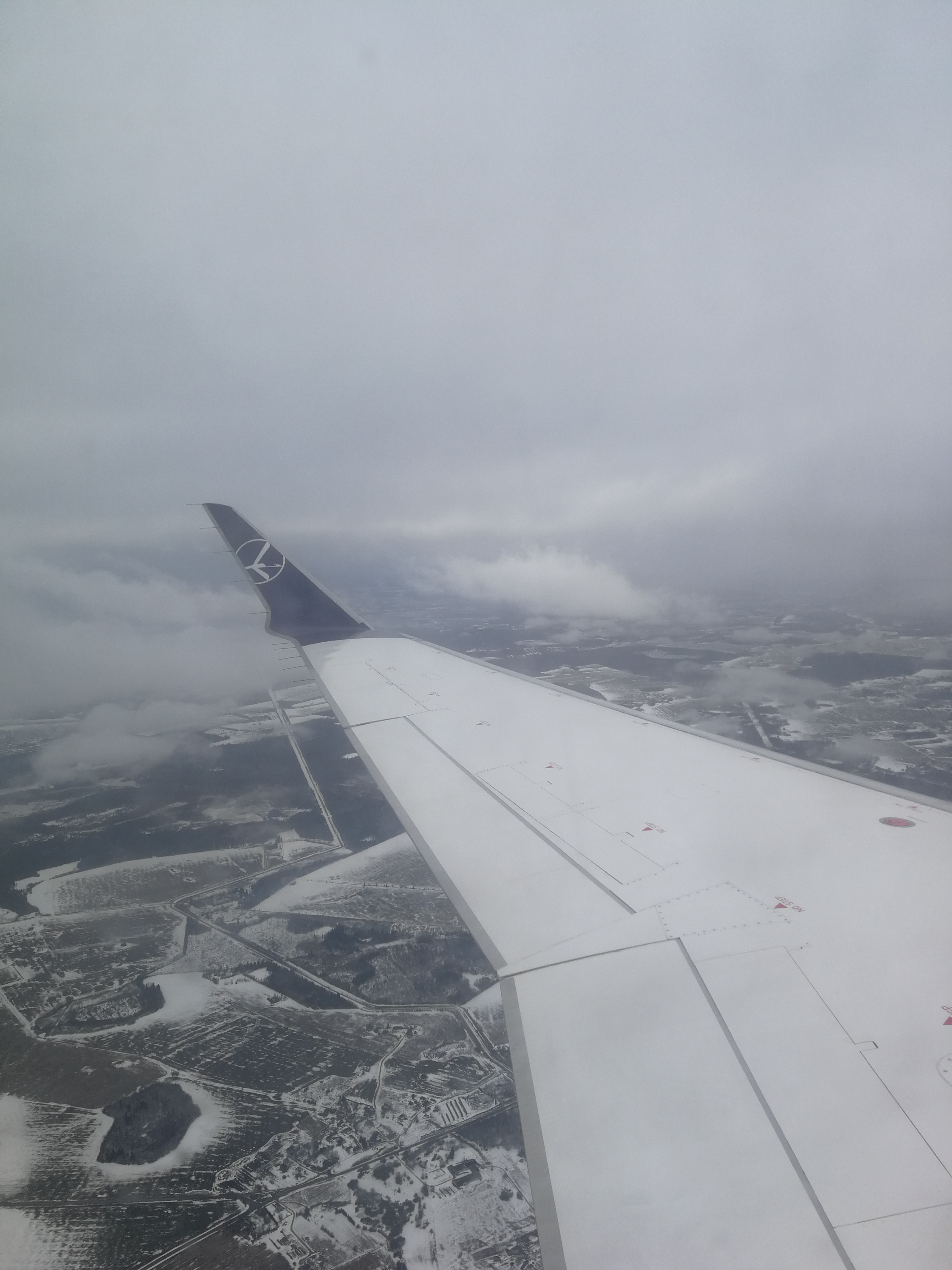 img_20190309_155532.jpg