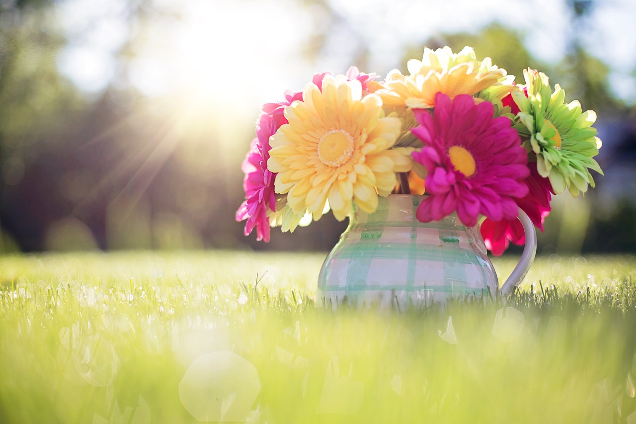 flowers-in-pitcher-796516_1280.jpg