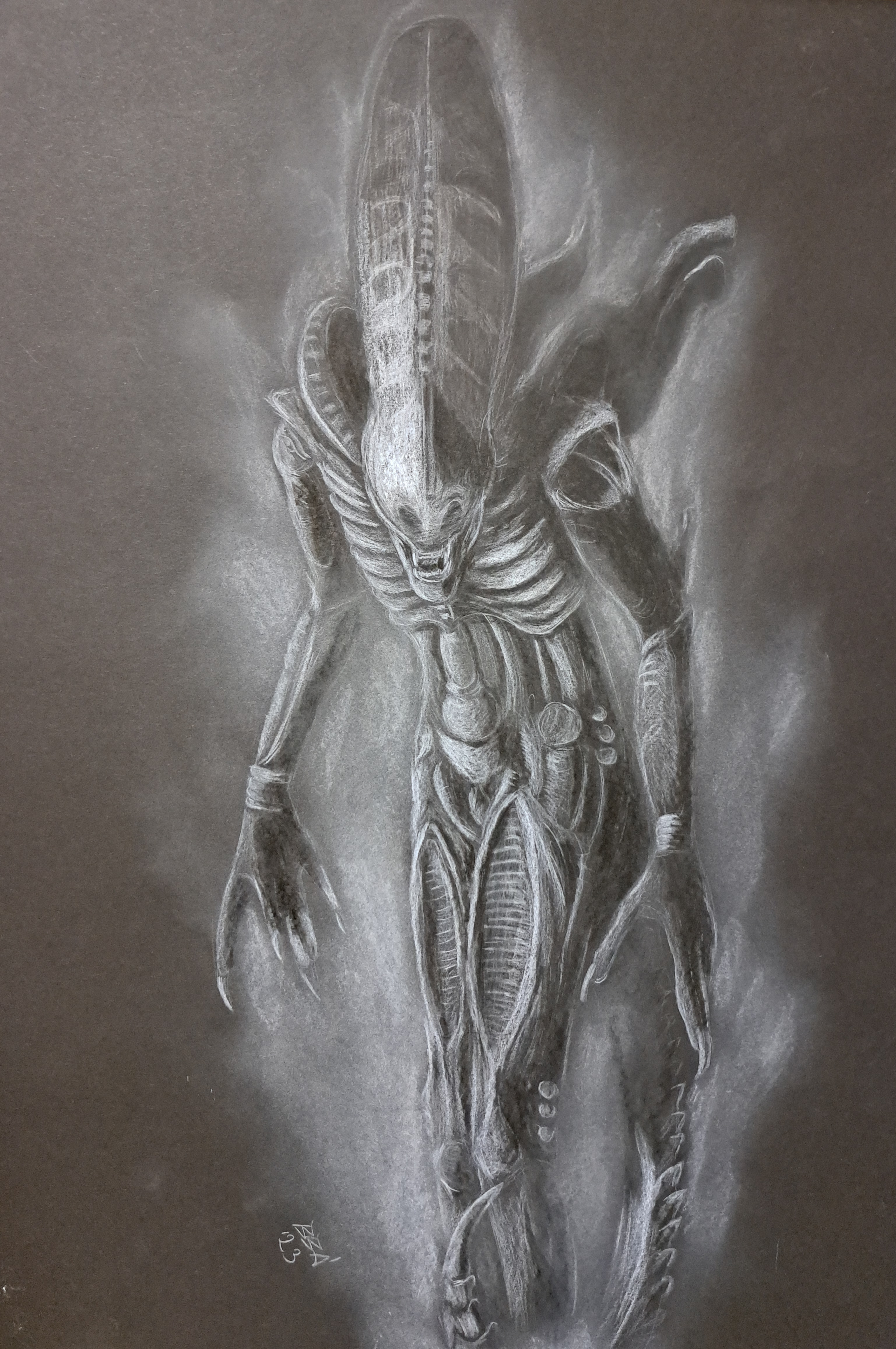 alien_1_1.jpg