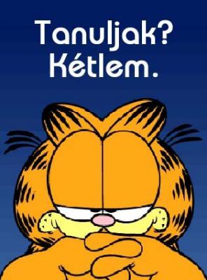 Garfield tanul.jpg