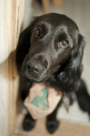 baowah: DSC 0144 baowah: DSC 0144