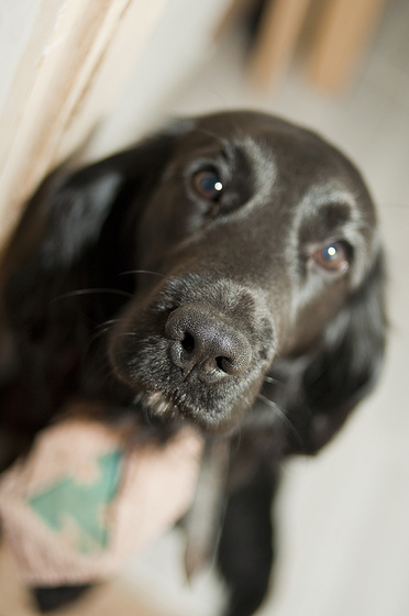 baowah: DSC 0138 baowah: DSC 0138