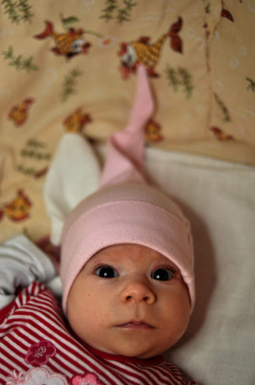 baowah: DSC 0089 baowah: DSC 0089