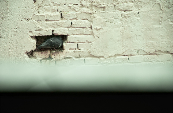 baowah: DSC 0676 baowah: DSC 0676