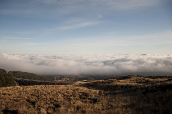 baowah: DSC 0229 baowah: DSC 0229