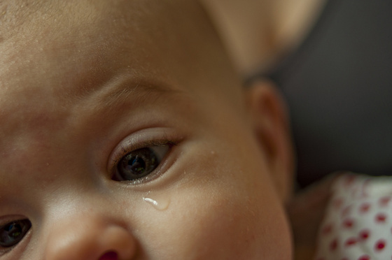 baowah: DSC 0529 baowah: DSC 0529