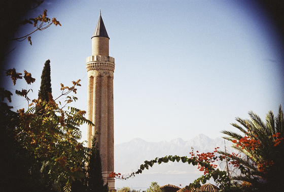 baowah: 000007 baowah: 000007