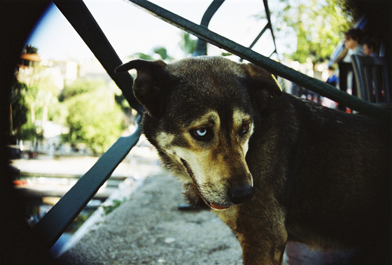 baowah: 000030 baowah: 000030