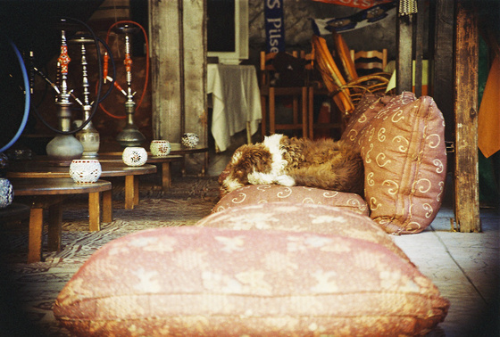 baowah: 000015 baowah: 000015