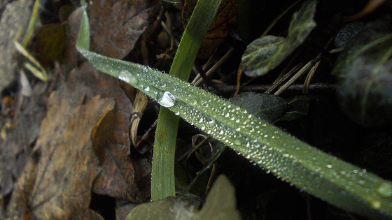 baowah: DSCN4412 baowah: DSCN4412