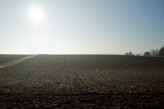 baowah: DSC 0105 (1)