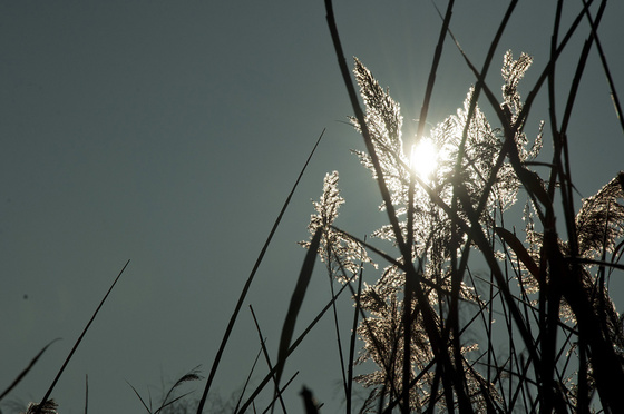 baowah: DSC 0107 (1)