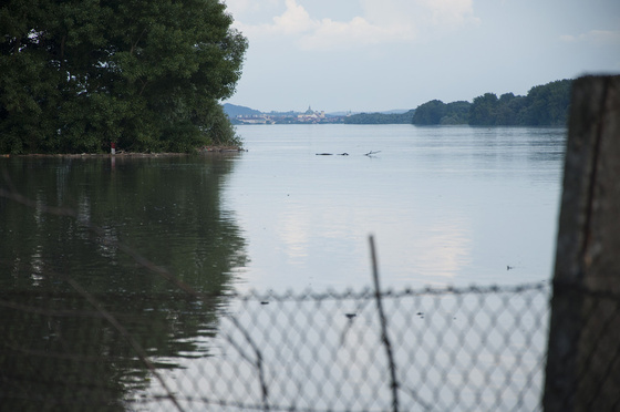 baowah: DSC 0094 (1)