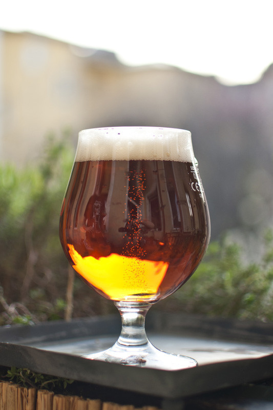 mucha konyv soros090