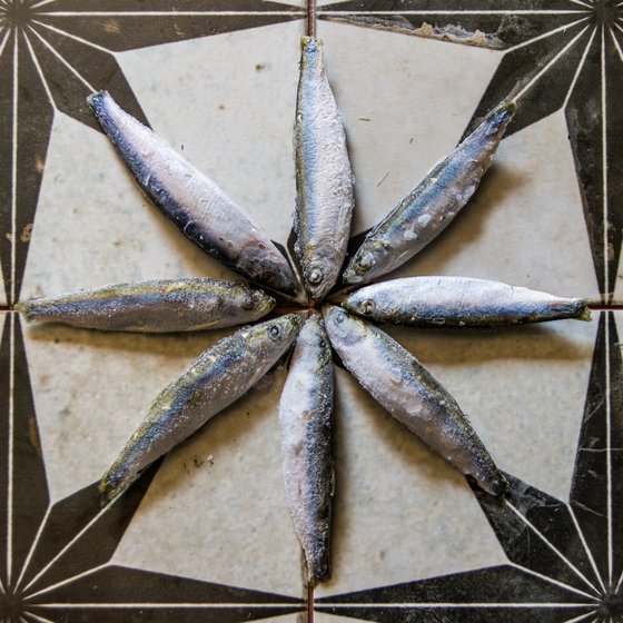 baowah: DSC3485 - indafoto.hu