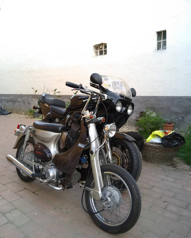 31963972 1866005983430985 3416279947163992064 o