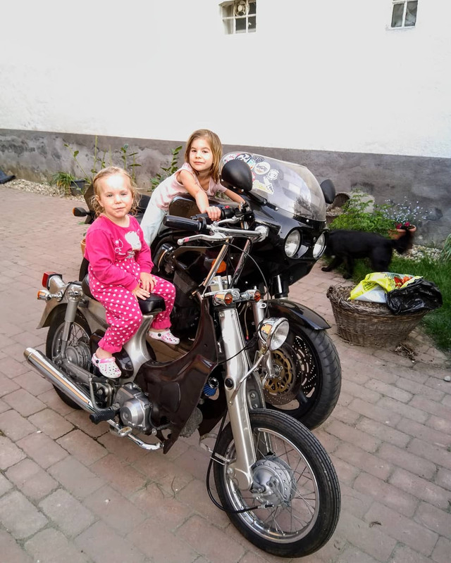 31961545 1866003856764531 2782709281013628928 o