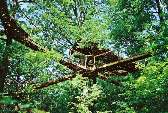 baowah: 000018 baowah: 000018